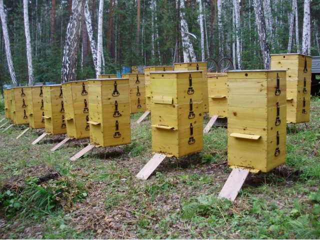 Изготовление ульев для пчёл на заказ в городе Челябинск, фото 2, стоимость: 5 000 руб.