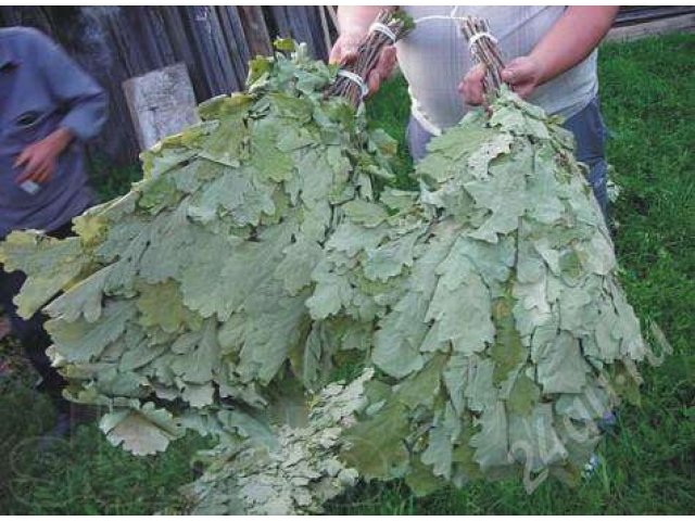 Банные веники в городе Воронеж, фото 3, Воронежская область