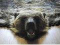 продам шкуру медведя в городе Череповец, фото 2, стоимость: 60 000 руб.