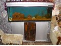 продам аквариум с тумбой 250л в городе Петропавловск-Камчатский, фото 1, Камчатский край