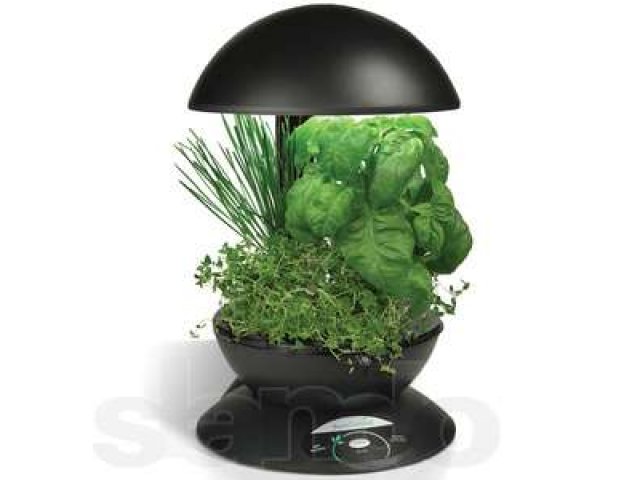 Aerogarden ( Аэросадик ) в городе Хабаровск, фото 1, стоимость: 5 500 руб.