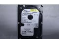 HDD IDE 40 Gb WD400, б\у в городе Оренбург, фото 1, Оренбургская область