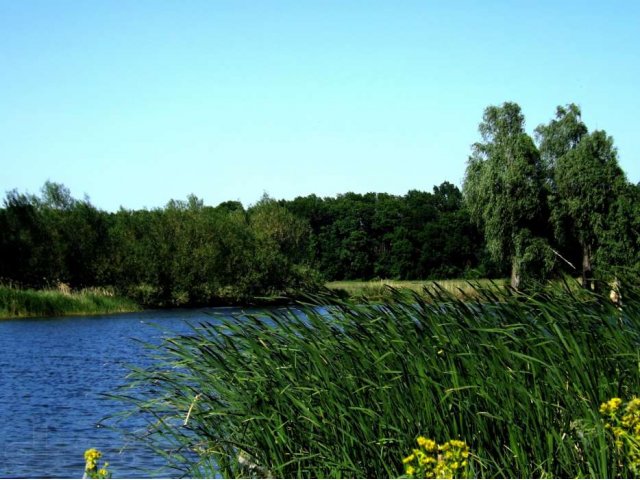 Полупрофессиональный фотоаппарт в городе Воронеж, фото 2, Цифровые фотоаппараты