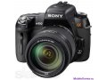 Sony Alpha 450 kit и Объектив konica-minolta в городе Новосибирск, фото 1, Новосибирская область