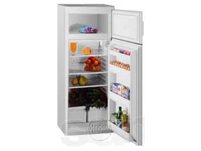 Холодильник высота 120. Холодильник Exqvisit 446-1-3005. Холодильник 145 см высота двухкамерный. Холодильник Exqvisit 431-1-3005. Холодильник двухкамерный высота 85см.