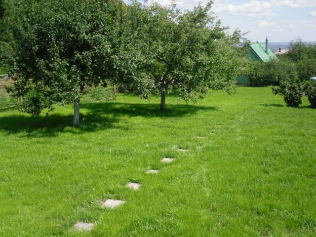 Ландшафтный дизайн. в городе Чебоксары, фото 6, стоимость: 0 руб.