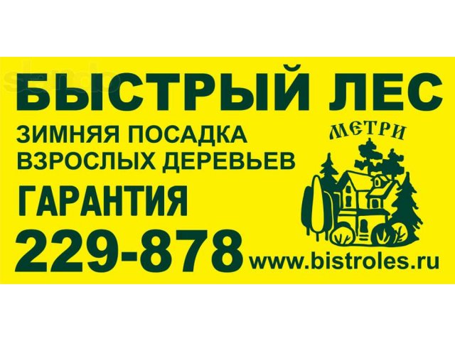 Озеленение.Посадка взрослых деревьев Чебоксары в городе Чебоксары, фото 1, Чувашия