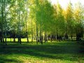 По клейка Обоев,покраска стен. в городе Рыбинск, фото 1, Ярославская область