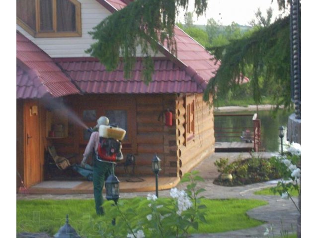 Уничтожение клопов в Орехово-Зуево в городе Орехово-Зуево, фото 1, стоимость: 0 руб.