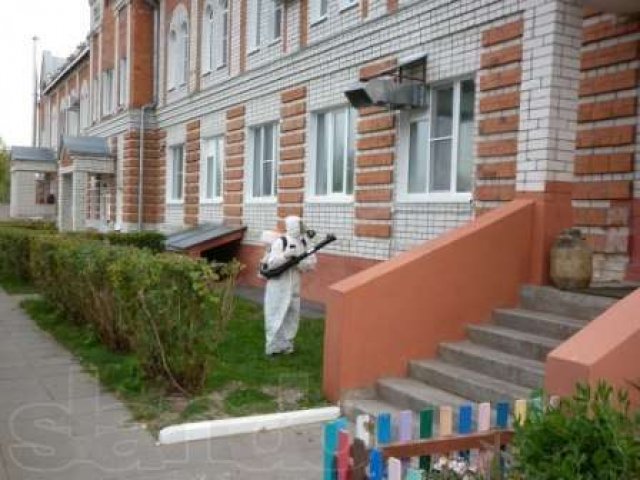 Уничтожение насекомых, грызунов и плесени. в городе Нижний Новгород, фото 1, стоимость: 0 руб.