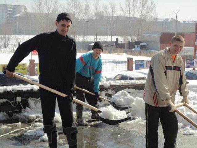 Уборка снега и мусора в городе Чебоксары, фото 1, стоимость: 0 руб.