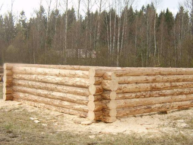 Срубы из Бурзянского леса зимней рубки. Бесплатная Доставка. в городе Уфа, фото 4, Готовые конструкции