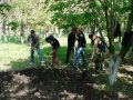 земляные работы в городе Воронеж, фото 1, Воронежская область