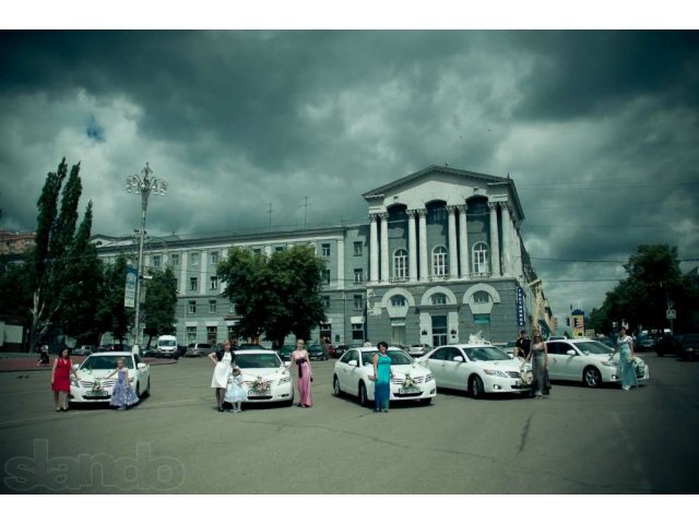 Кортеж 46 в городе Курск, фото 1, Такси, аренда и прокат, пассажирские перевозки