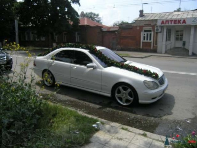 Mercedes на свадьбу в городе Владикавказ, фото 5, стоимость: 0 руб.