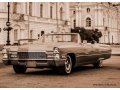 Аренда прокат авто Cadillac Deville в городе Санкт-Петербург, фото 1, Ленинградская область