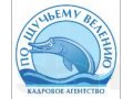 Няни,сиделки для Москвы и области в городе Одинцово, фото 1, Московская область