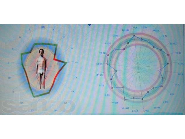 Компьютерная диагностика организма Пермь. Стоимость процедуры - 850 р в городе Пермь, фото 5, Пермский край