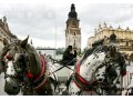 Преподаватель польского языка по скайпу в городе Ставрополь, фото 2, стоимость: 0 руб.