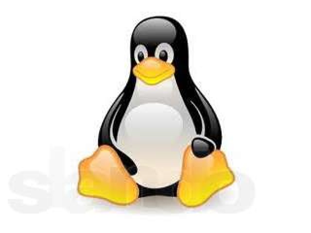 Курс Администрирование серверов Linux (Ubuntu) в городе Липецк, фото 1, Курсы