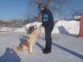 Гостиница для животных в городе Тюмень, фото 3, Питомники, зоогостиницы, няни, передержка