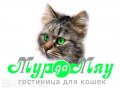 Гостиница для кошек и котов «Мур-Да-Мяу» в Нижнем Новгороде в городе Нижний Новгород, фото 1, Нижегородская область