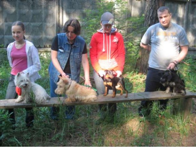 Гостиница для собак. в городе Раменское, фото 3, Питомники, зоогостиницы, няни, передержка