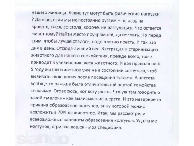 Стрижка домашних животных (котов и маленьких собак) в городе Кемерово, фото 2, Кемеровская область