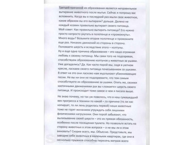 Стрижка домашних животных (котов и маленьких собак) в городе Кемерово, фото 4, Стрижка