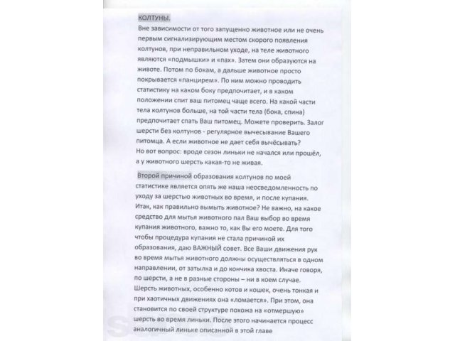 Стрижка домашних животных (котов и маленьких собак) в городе Кемерово, фото 5, Кемеровская область