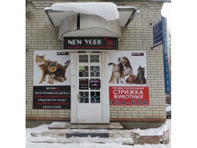 стрижка собак и кошек в городе Саратов, фото 1, стоимость: 0 руб.