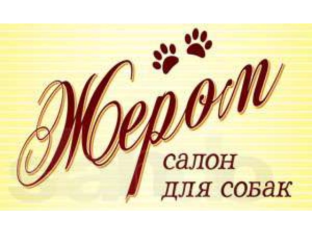 Салоне слова. Салон Word.