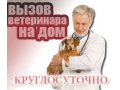 Ветеринар на дом в городе Санкт-Петербург, фото 1, Ленинградская область