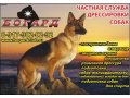 Дрессировка собак в городе Уфа, фото 1, Башкортостан