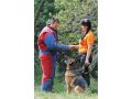 Обучение собаки азам защитного раздела, мондиоринга на Дрессплощадке в городе Владивосток, фото 1, Приморский край