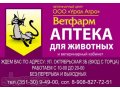 Ветеринарный центр ООО «Урал Агро» ВЕТФАРМ в городе Озерск, фото 1, Челябинская область