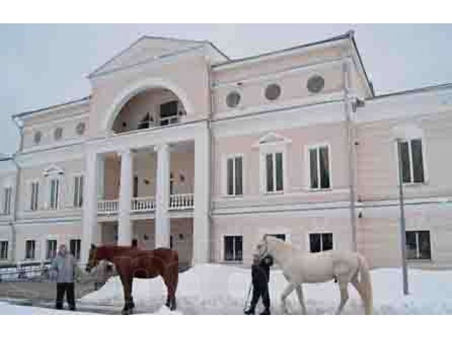 Дед Мороз и Снегурочка. Новогодний праздник - ведущий. Смоленск в городе Смоленск, фото 2, Смоленская область