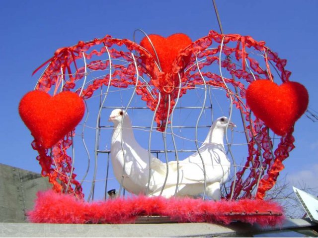Белоснежные голуби на свадьбу и др. торжества в городе Таганрог, фото 1, Организация праздников