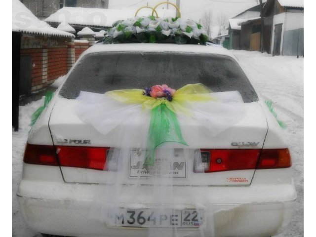 Свадьба в городе Горно-Алтайск, фото 3, Алтай