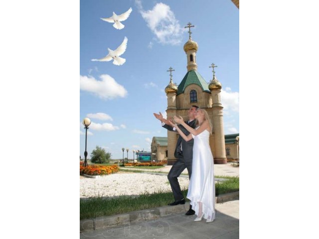 Видеосъемка свадеб, юбилеев и др в городе Пятигорск, фото 6, стоимость: 0 руб.