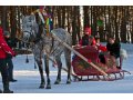 Лошади и белые голуби для фотосессий. в городе Москва, фото 3, Фото, видео, полиграфия