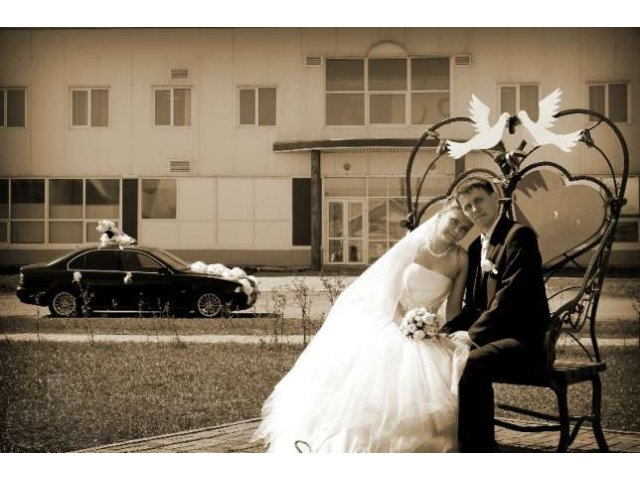 Свадебный фотограф в городе Омск, фото 3, Омская область