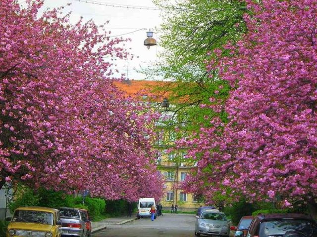 Туры выходного дня на майские праздники 2013 г. в городе Белгород, фото 7, Бронирование, туры, билеты