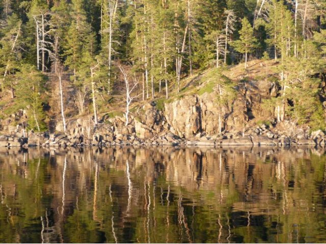 немецкий, английский языки в городе Нижний Новгород, фото 1, стоимость: 0 руб.