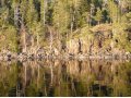 немецкий, английский языки в городе Нижний Новгород, фото 1, Нижегородская область