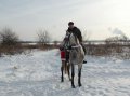 Конный прокат в городе Москва, фото 1, Московская область