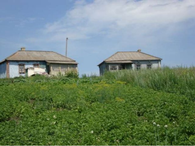 Дом в селе ПМЖ прописка в городе Воронеж, фото 1, стоимость: 0 руб.