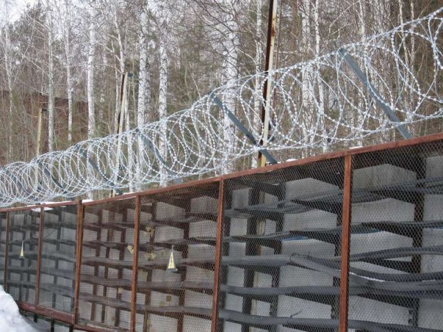 Монтаж колючей проволоки егоза в городе Санкт-Петербург, фото 3, стоимость: 0 руб.