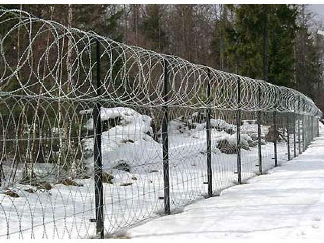 Монтаж колючей проволоки егоза в городе Санкт-Петербург, фото 8, Ленинградская область