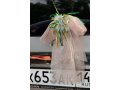 Украшение на машину на прокат в городе Новокузнецк, фото 3, Прокат свадебных товаров